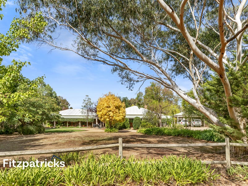 3 Kauri Place,Springvale